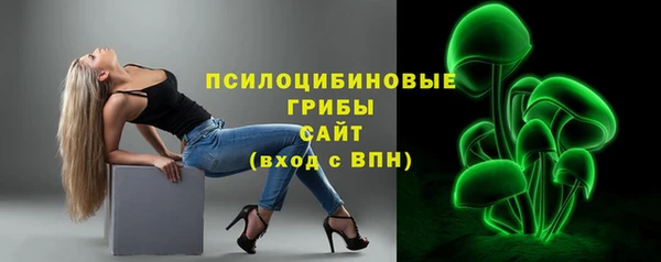 стаф Алзамай