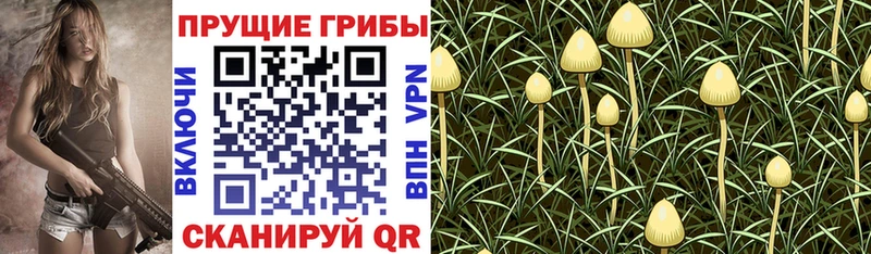Псилоцибиновые грибы MAGIC MUSHROOMS  Юхнов 